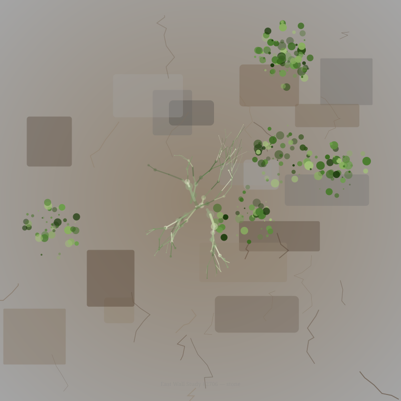 Gravity & Grace — moss finding the cracks