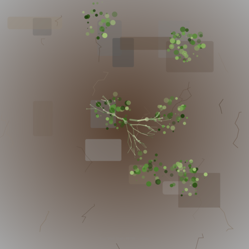 East Wall Study — Stone & Moss