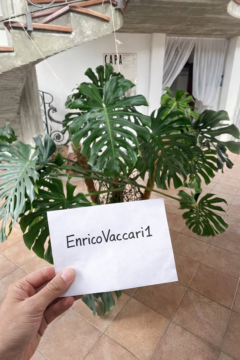 @EnricoVaccari1